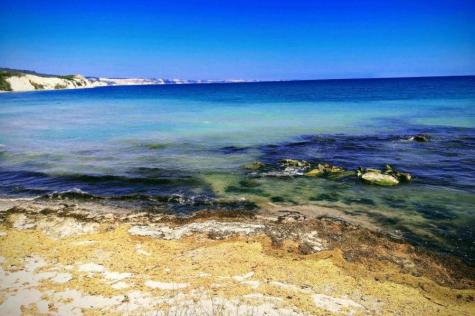 SEA DREAMS