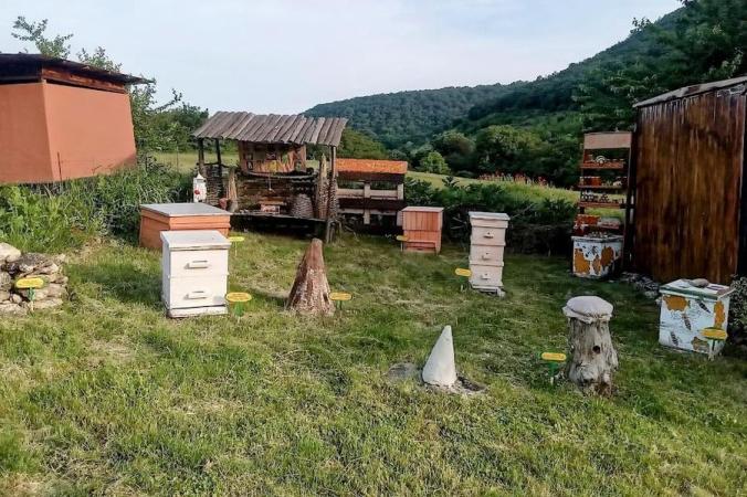 BEE FARM VOYVODA