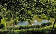 ARGES