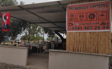 SALYANGOZ